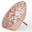 seeqwithin logo
